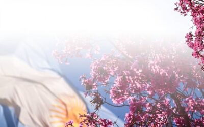 Llega la primavera al país: a qué hora comienza hoy oficialmente la nueva estación en Argentina Llega la primavera al país: a qué hora comienza hoy oficialmente la nueva estación en Argentina