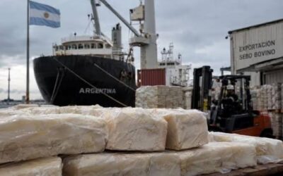 Todo un suceso: las exportaciones argentinas de sebo bovino se multiplicaron por 20 en más de una década Todo un suceso: las exportaciones argentinas de sebo bovino se multiplicaron por 20 en más de una década