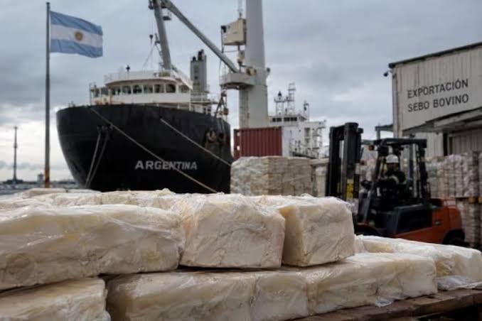 Todo un suceso: las exportaciones argentinas de sebo bovino se multiplicaron por 20 en más de una década