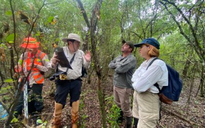 El mercado de carbono abre una puerta de crecimiento para el campo argentino El mercado de carbono abre una puerta de crecimiento para el campo argentino