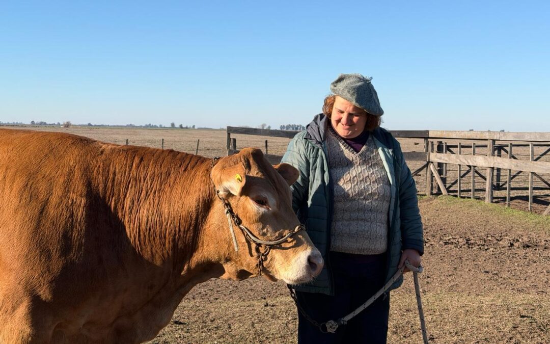 De las aulas al campo: la historia de la docente jubilada que transforma la ganadería con la raza Limousin