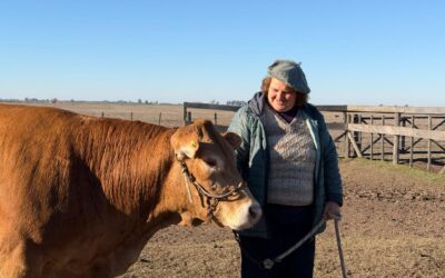 De las aulas al campo: la historia de la docente jubilada que transforma la ganadería con la raza Limousin
