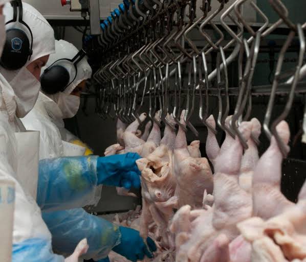 Argentina logró la reapertura del mercado de Japón para carne aviar y ovoproductos