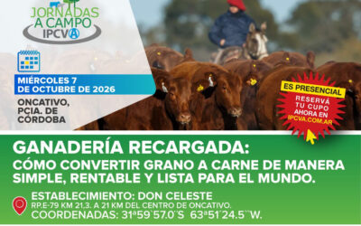 El próximo 7 de octubre: Jornada a Campo del IPCVA en Oncativo, Córdoba