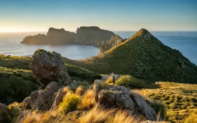Bienvenidos a la isla más tranquila del mundo: auroras australes, animales en peligro de extinción y senderos entre naturaleza salvaje Bienvenidos a la isla más tranquila del mundo: auroras australes, animales en peligro de extinción y senderos entre naturaleza salvaje