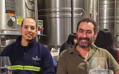 Primavera entre viñedos: las mejores bodegas bonaerenses para una escapada de fin de semana