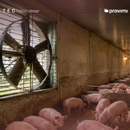 Amoníaco en granjas porcinas: por qué ventilar más solo diluye el problema pero no lo resuelve en la fosa