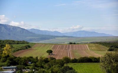 La Corte revocó el fallo que declaraba inconstitucional la derogación de la Ley de Tierras