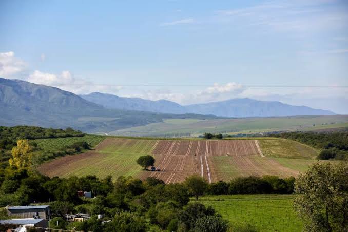 La Corte revocó el fallo que declaraba inconstitucional la derogación de la Ley de Tierras