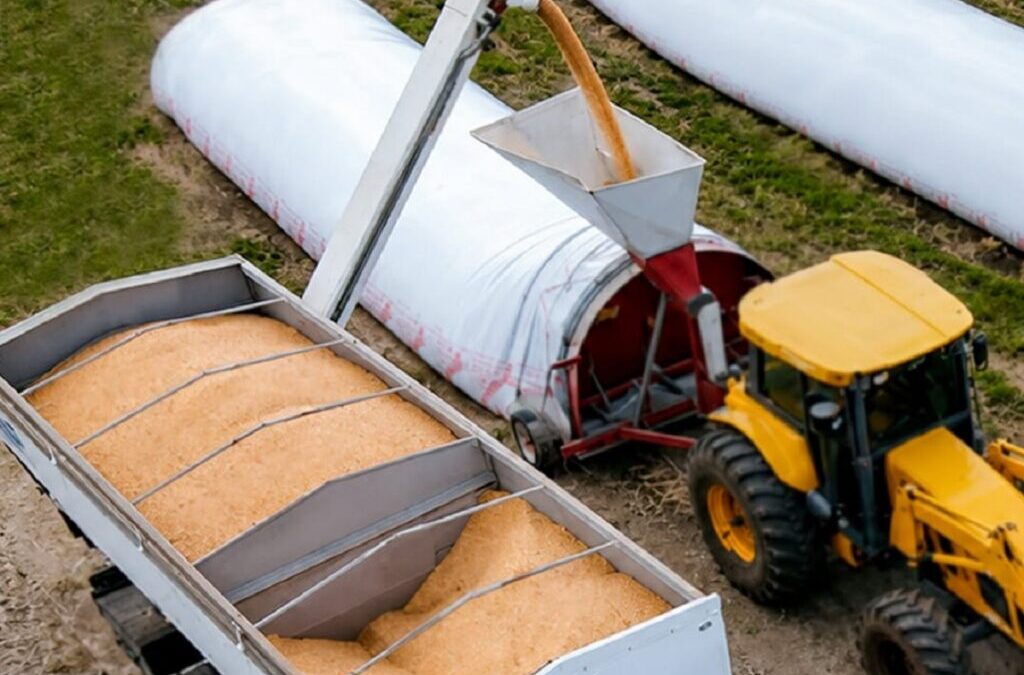 Tolvas de alto rendimiento: la apuesta clave para potenciar la logística en la cosecha 2026/27