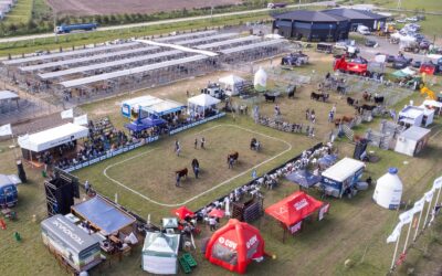 Cañuelas vuelve a ser la capital de la ganadería argentina con una nueva edición de la Semana Angus de Primavera Cañuelas vuelve a ser la capital de la ganadería argentina con una nueva edición de la Semana Angus de Primavera