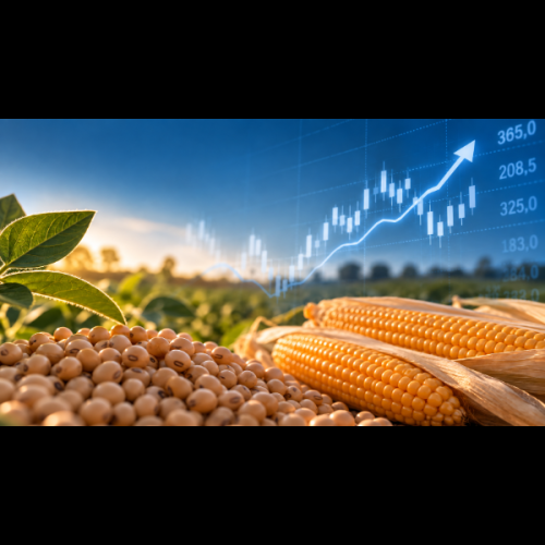 El maíz supera el millón de toneladas semanales, el trigo argentino gana terreno y la soja se afirma en precios altos