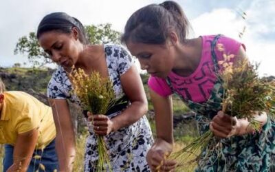 Cinco mujeres líderes rurales que están transformando la agricultura y los alimentos en América Latina y el Caribe Cinco mujeres líderes rurales que están transformando la agricultura y los alimentos en América Latina y el Caribe