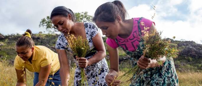 Cinco mujeres líderes rurales que están transformando la agricultura y los alimentos en América Latina y el Caribe