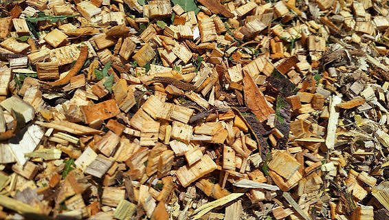 Del aserradero a la caldera: los pellets de madera buscan ganar terreno como energía para la industria