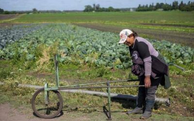“Nos estamos quedando sin productores”: la dura advertencia de Federación Agraria sobre la concentración rural “Nos estamos quedando sin productores”: la dura advertencia de Federación Agraria sobre la concentración rural