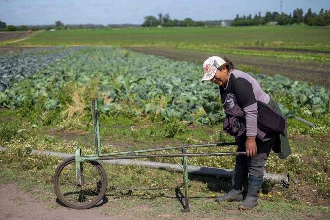 “Nos estamos quedando sin productores”: la dura advertencia de Federación Agraria sobre la concentración rural