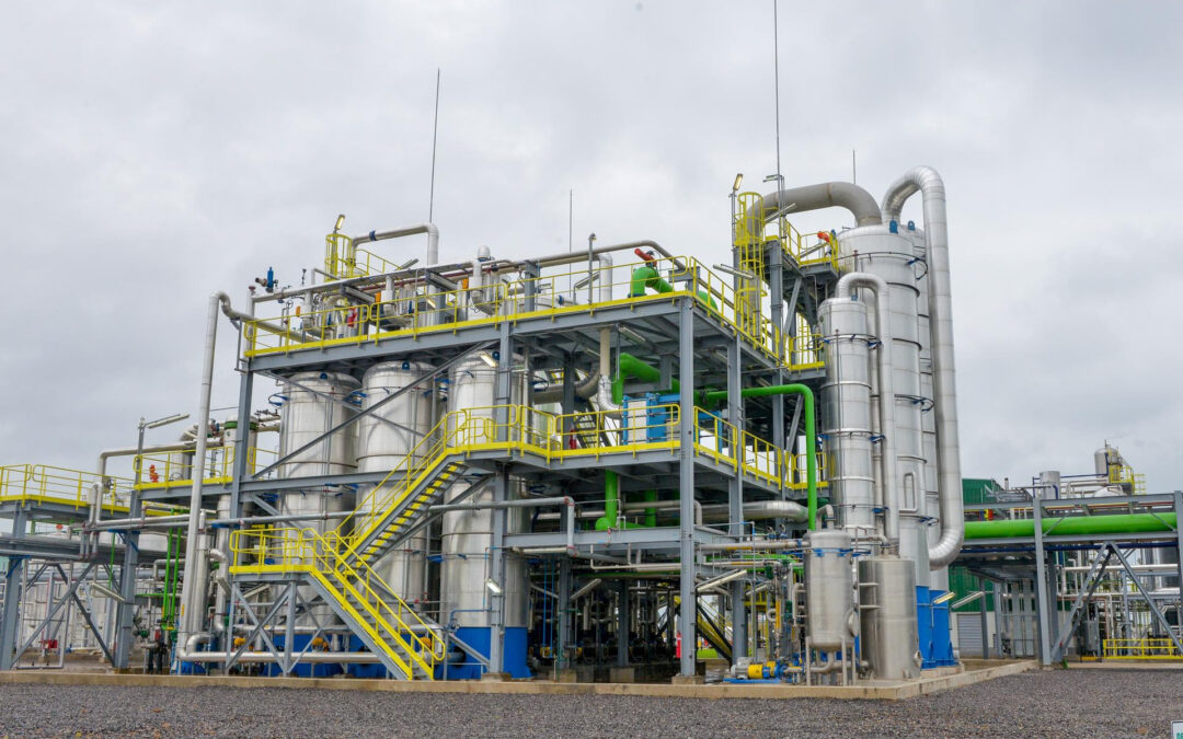Agricultura autorizó la comercialización de una nueva levadura genéticamente modificada que optimiza la producción de bioetanol
