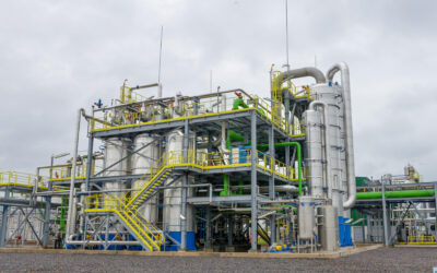 Agricultura autorizó la comercialización de una nueva levadura genéticamente modificada que optimiza la producción de bioetanol Agricultura autorizó la comercialización de una nueva levadura genéticamente modificada que optimiza la producción de bioetanol