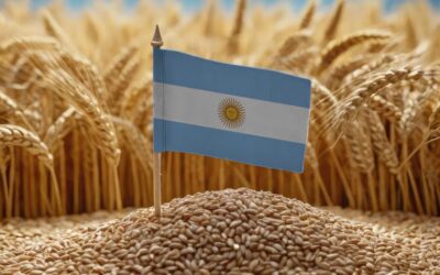 Trigo: el mercado global no mira el riesgo de un apagón productivo en Rusia y Ucrania