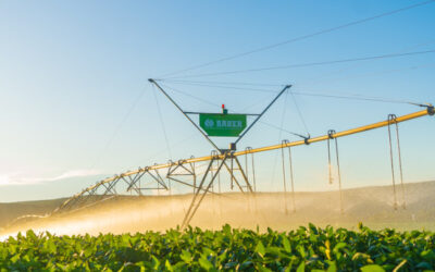 Las lluvias frenan la zafra en Tucumán: el desafío de gestionar el agua entre excesos y sequías en el campo argentino