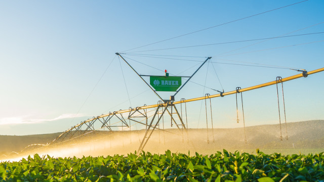 Las lluvias frenan la zafra en Tucumán: el desafío de gestionar el agua entre excesos y sequías en el campo argentino
