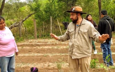 Agromonte en El Impenetrable: una alternativa productiva que transforma la vida de las comunidades rurales