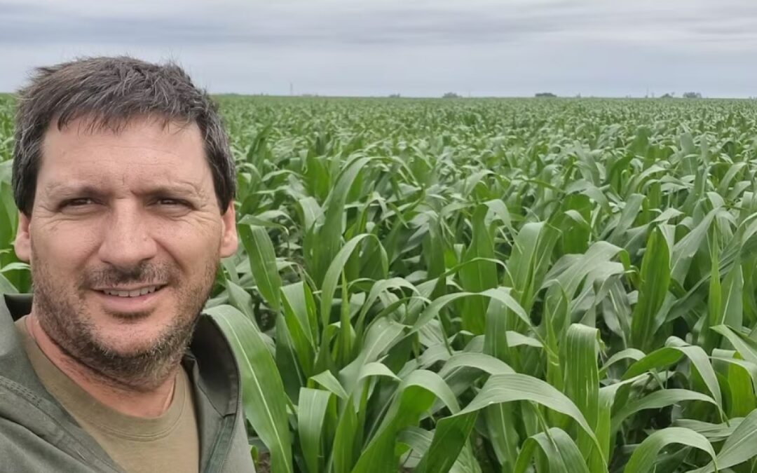 Dejó la zona núcleo para sembrar maíz bajo riego en el sur y ya cosecha 125 quintales por hectárea