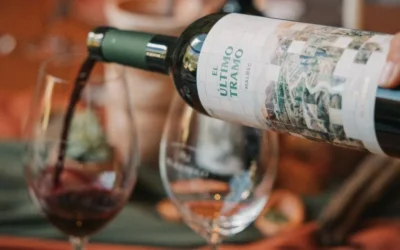 De Cafayate a Chañar Punco: El Esteco estrena una línea de vinos de altura con un naranjo inédito De Cafayate a Chañar Punco: El Esteco estrena una línea de vinos de altura con un naranjo inédito