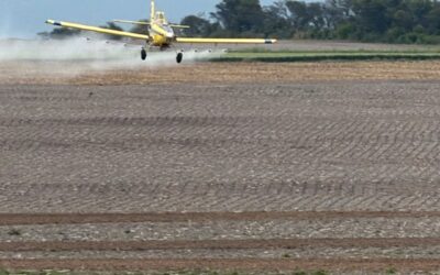 El SENASA evaluó la calidad de aplicación de aviones, drones y equipos terrestres para el control de langostas