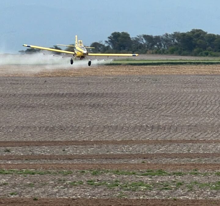 El SENASA evaluó la calidad de aplicación de aviones, drones y equipos terrestres para el control de langostas