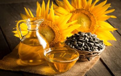 La firmeza de precios del aceite de girasol se mantiene a nivel internacional y local pese al ingreso de la cosecha en el hemisferio Norte La firmeza de precios del aceite de girasol se mantiene a nivel internacional y local pese al ingreso de la cosecha en el hemisferio Norte