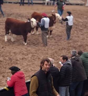 Bulltrack: la startup argentina que une tecnología y ganadería para potenciar el negocio de la carne