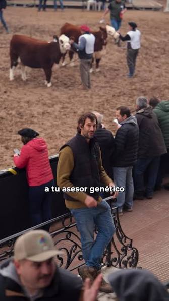 Bulltrack: la startup argentina que une tecnología y ganadería para potenciar el negocio de la carne