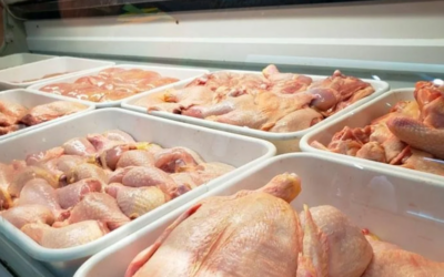 El consumo de pollo superó por primera vez en la historia al de carne vacuna en argentina El consumo de pollo superó por primera vez en la historia al de carne vacuna en argentina