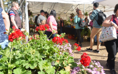 15° Expo Vivero Cazón: La primavera florece entre un millón de árboles 15° Expo Vivero Cazón: La primavera florece entre un millón de árboles