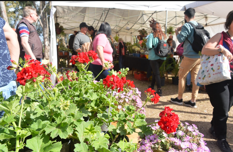 15° Expo Vivero Cazón: La primavera florece entre un millón de árboles