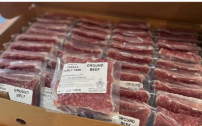 Frigoríficos en dos velocidades: los exportadores crecen y los del mercado interno pierden terreno por la escasez de hacienda