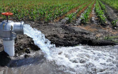 El agua que no se ve y lo sostiene todo: así dependen del subsuelo la vida y la economía del NEA El agua que no se ve y lo sostiene todo: así dependen del subsuelo la vida y la economía del NEA