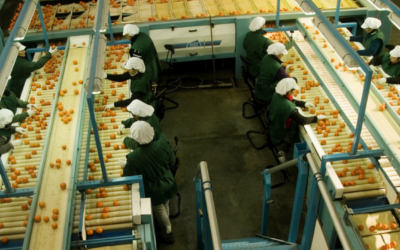 Inscripción digital para empaques, moliendas y frigoríficos de frutas y hortalizas