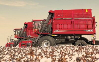 Uzbekistán acelera la recolección mecánica de algodón y revoluciona su mercado de maquinaria agrícola Uzbekistán acelera la recolección mecánica de algodón y revoluciona su mercado de maquinaria agrícola