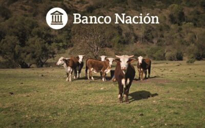 Banco Nación desembarca en Margarita Belén para acompañar a la comunidad Braford Banco Nación desembarca en Margarita Belén para acompañar a la comunidad Braford