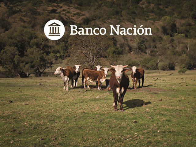 Banco Nación desembarca en Margarita Belén para acompañar a la comunidad Braford