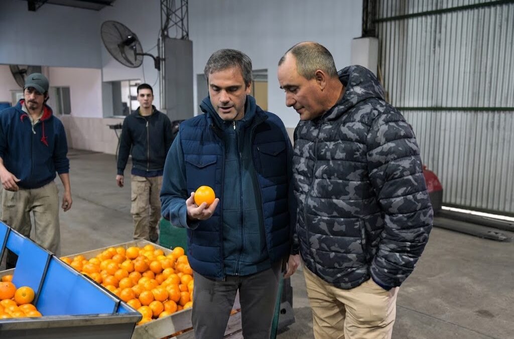 Cítricos argentinos: piden abrir el mercado de Estados Unidos