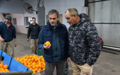 Cítricos argentinos: piden abrir el mercado de Estados Unidos Cítricos argentinos: piden abrir el mercado de Estados Unidos