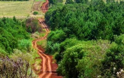 Charlas Verdes: Misiones llevó a Buenos Aires su mirada sobre el turismo regenerativo Charlas Verdes: Misiones llevó a Buenos Aires su mirada sobre el turismo regenerativo
