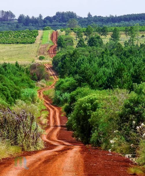 Charlas Verdes: Misiones llevó a Buenos Aires su mirada sobre el turismo regenerativo