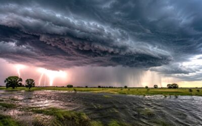 El Niño seguirá intensificándose: ¿cuándo alcanzaría su punto álgido? El Niño seguirá intensificándose: ¿cuándo alcanzaría su punto álgido?