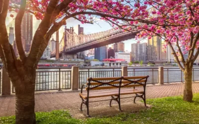 Qué ver en Nueva York: todo lo que hay que ver en un primer viaje por la Gran Manzana