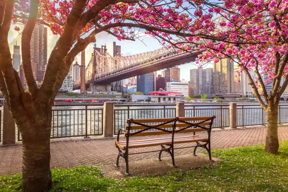 Qué ver en Nueva York: todo lo que hay que ver en un primer viaje por la Gran Manzana